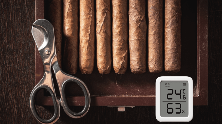 Best Digital Hygrometer for Humidors